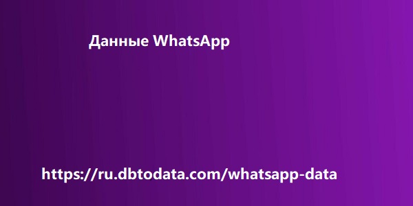 Данные WhatsApp