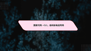 国家代码 +501，伯利兹电话号码